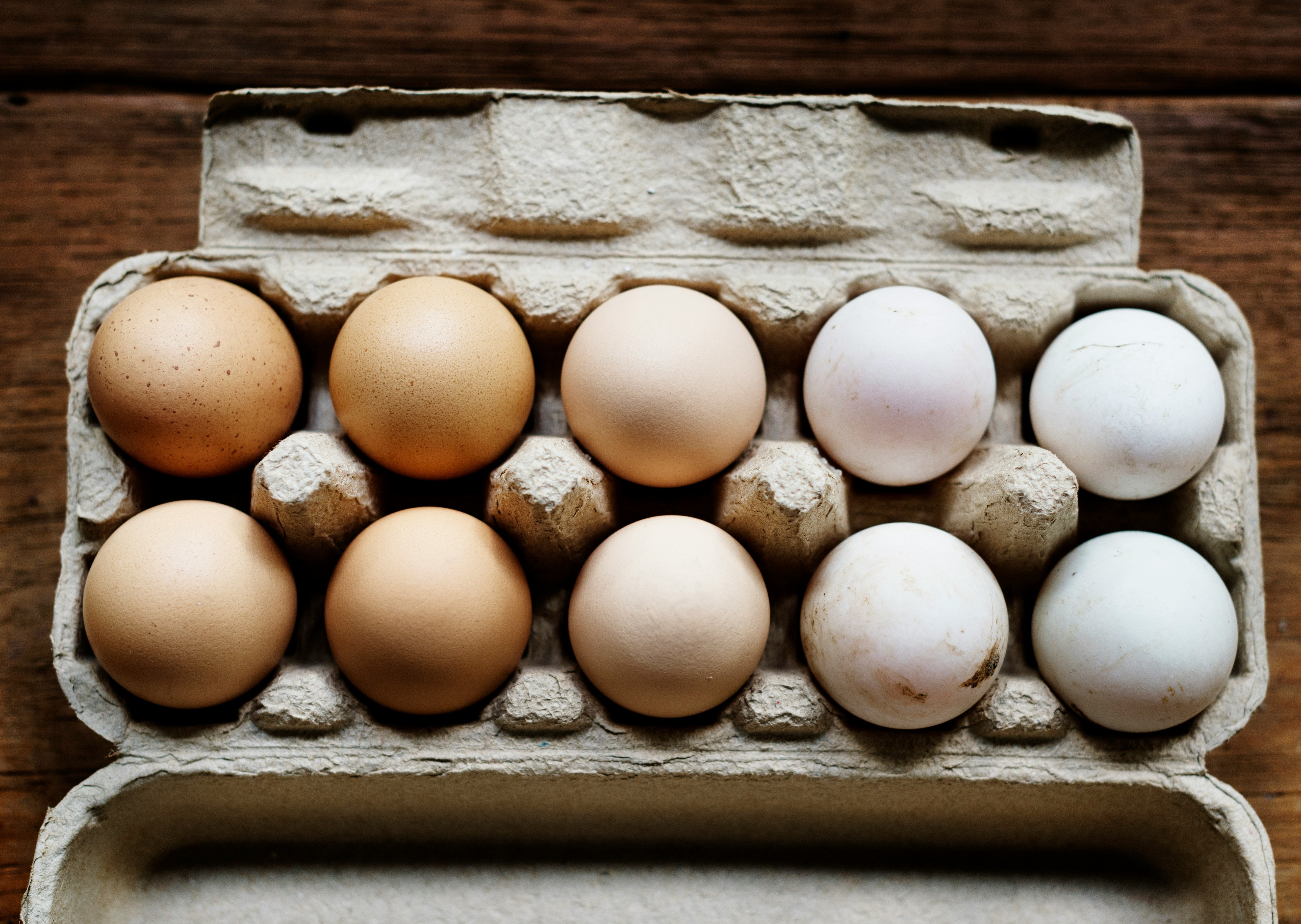 Close-up of fresh organic eggs in various colours, showcasing the variety of eggs that may trigger intolerance symptoms in sensitive individuals.