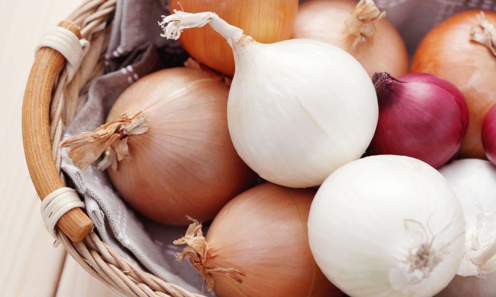 Could I Be Intolerant to Onions?