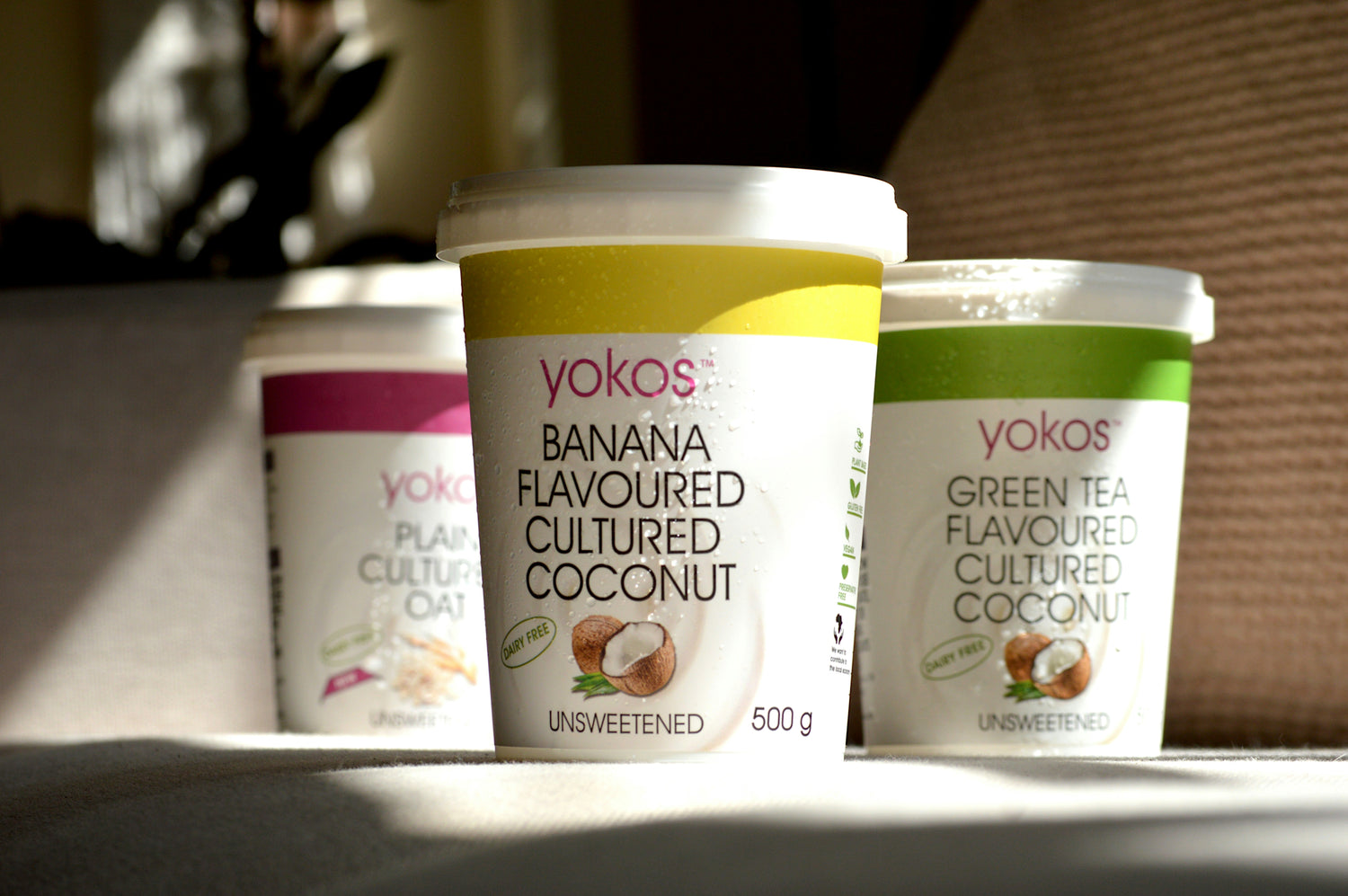 A selection of jars filled with coconut-based yoghurt, a popular dairy-free option for individuals managing lactose intolerance.